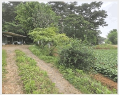  2025Ÿ��51330  �����