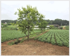  2025Ÿ��51330  �����