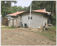  2025Ÿ��51330  �����