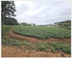  2025Ÿ��51330  �����