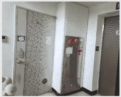  2025Ÿ��51354  ����Ʈ���