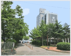  2025Ÿ��51354  ����Ʈ���