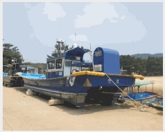  2025Ÿ51384 泲 ¾ȱ         ڰ