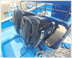  2025Ÿ51384 泲 ¾ȱ         ڰ