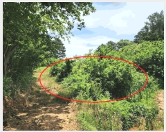  2025Ÿ��51389 �泲 ������ �۾��� ���︮ ��18-1      ����(�Ӿ�)���