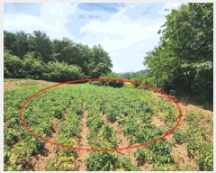  2025Ÿ��51389 �泲 ������ �۾��� ���︮ ��18-1      ����(�Ӿ�)���