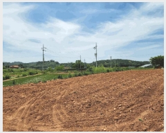  2025Ÿ��51389 �泲 ������ �۾��� ���︮ ��18-1      ����(�Ӿ�)���