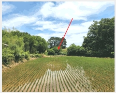  2025Ÿ��51389 �泲 ������ �۾��� ���︮ ��18-1      ����(�Ӿ�)���