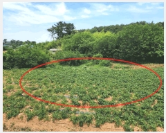  2025Ÿ��51389 �泲 ������ �۾��� ���︮ ��18-1      ����(�Ӿ�)���