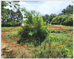  2025Ÿ��51389 �泲 ������ �۾��� ���︮ ��18-1      ����(�Ӿ�)���