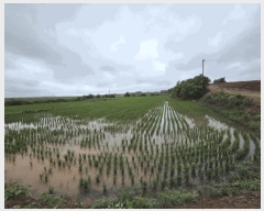  2025Ÿ��51410 �泲 ����� �μ��� ���縮 96      ����(�Ӿ�)���