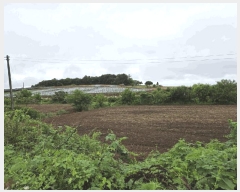  2025Ÿ��51410 �泲 ����� �μ��� ���縮 96      ����(�Ӿ�)���