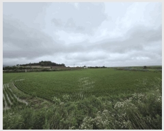  2025Ÿ��51410 �泲 ����� �μ��� ���縮 96      ����(�Ӿ�)���