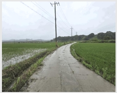  2025Ÿ��51410 �泲 ����� �μ��� ���縮 96      ����(�Ӿ�)���