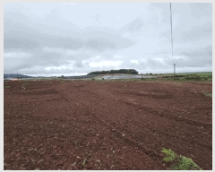  2025Ÿ��51410 �泲 ����� �μ��� ���縮 96      ����(�Ӿ�)���