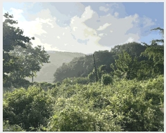  2025Ÿ��51480 �泲 ����� ���� ���� ��30-80      ����(�Ӿ�)���