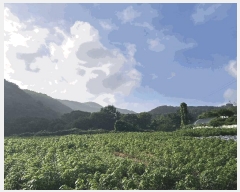  2025Ÿ��51480 �泲 ����� ���� ���� ��30-80      ����(�Ӿ�)���