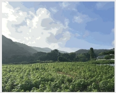  2025Ÿ��51480 �泲 ����� ���� ���� ��30-80      ����(�Ӿ�)���