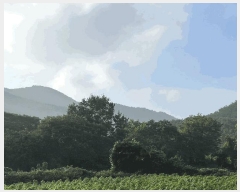  2025Ÿ��51480 �泲 ����� ���� ���� ��30-80      ����(�Ӿ�)���