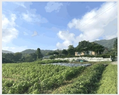  2025Ÿ��51480 �泲 ����� ���� ���� ��30-80      ����(�Ӿ�)���