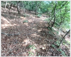  2025Ÿ��51480 �泲 ����� ���� ���� ��30-80      ����(�Ӿ�)���