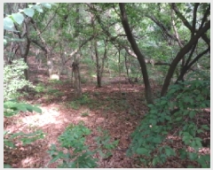  2025Ÿ��51480 �泲 ����� ���� ���� ��30-80      ����(�Ӿ�)���