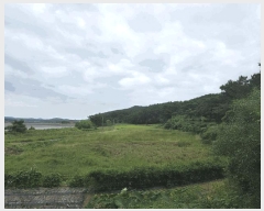  2025Ÿ��51488  ����