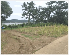  2025Ÿ��51488  ����