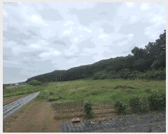  2025Ÿ��51488  ����