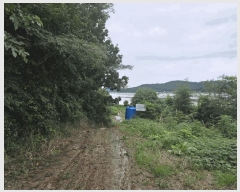  2025Ÿ��51488  ����