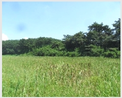  2025Ÿ��51488  ����