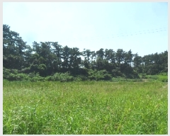  2025Ÿ��51488  ����