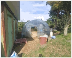  2025Ÿ��51512  ���ð��