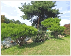  2025Ÿ��51512  ���ð��