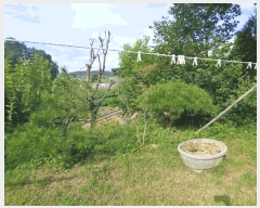  2025Ÿ��51512  ���ð��