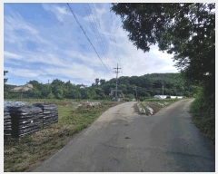  2025Ÿ��51512  ���ð��