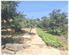  2025Ÿ��51529  �������