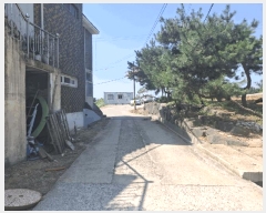  2025Ÿ��51529  �������