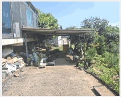  2025Ÿ��51529  �������