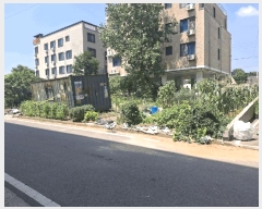  2025Ÿ��51529  �������