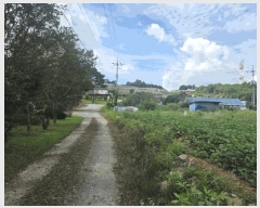  2025Ÿ��51575 �泲 ������ ������ ���θ� 794-1      ����(��)���