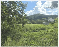  2025Ÿ��51575 �泲 ������ ������ ���θ� 794-1      ����(��)���