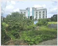  2025Ÿ��51575 �泲 ������ ������ ���θ� 794-1      ����(��)���