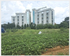  2025Ÿ��51575 �泲 ������ ������ ���θ� 794-1      ����(��)���