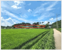  2025Ÿ��51610 �泲 ������ �۾��� ���̸� 177      ����(��1)���