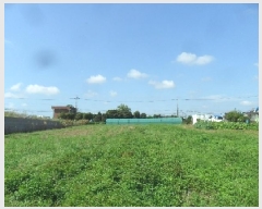  2025Ÿ��51637 �泲 ����� ��õ�� 334       ����(��1)���