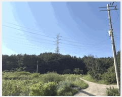  2025Ÿ��51650 �泲 �¾ȱ� ���ϸ� Ȳ�̸� ��77      ����(�Ӿ�)���