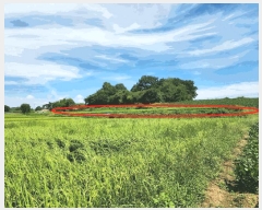  2025Ÿ��51660 �泲 ������ ����� �Ż긮 312-13      ����(��1)���