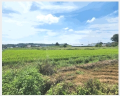  2025Ÿ��51660 �泲 ������ ����� �Ż긮 312-13      ����(��1)���