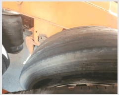  2025Ÿ51665 泲   74 50, ڸƼ ֽȸ    